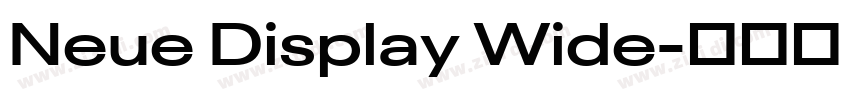 Neue Display Wide字体转换